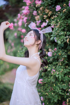 扫黑风暴电视剧在线观看免费完整版